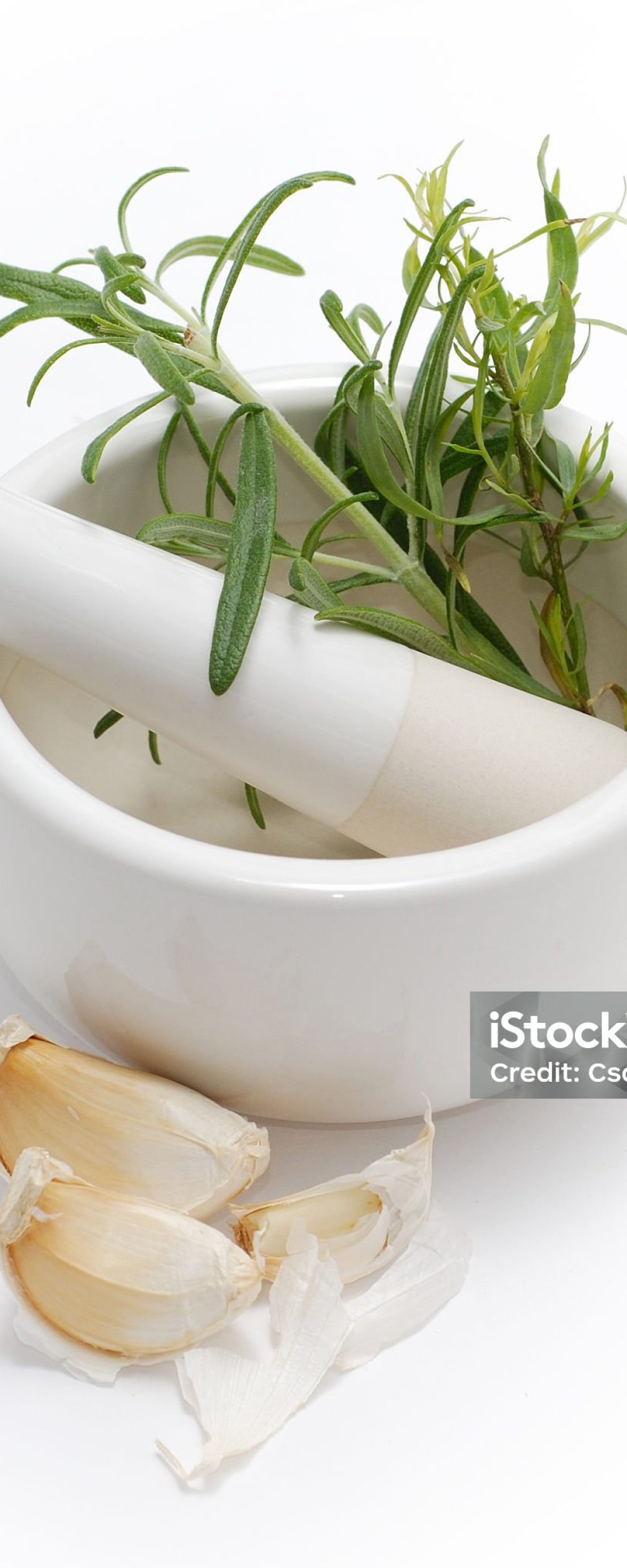 Mortar and pestle with garlic and herbs.  Studio isolated.